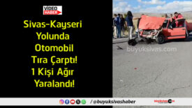 kişi