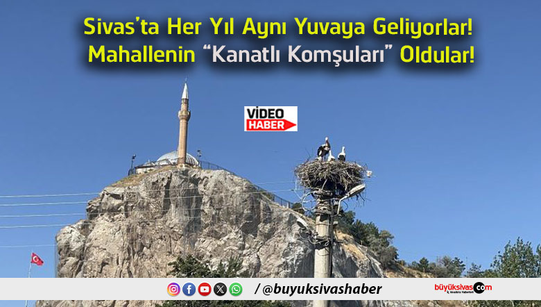 komşuları