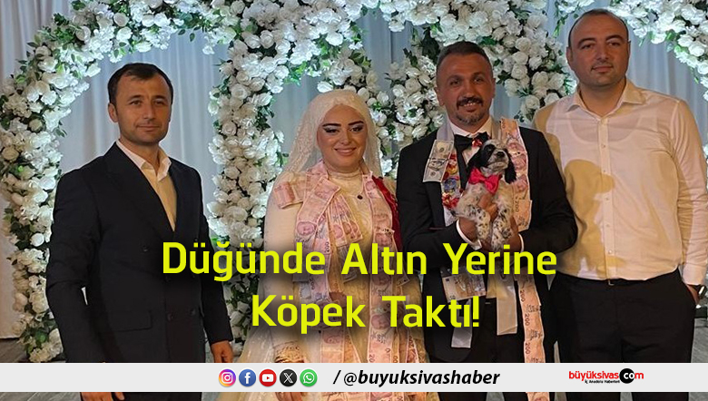 köpek