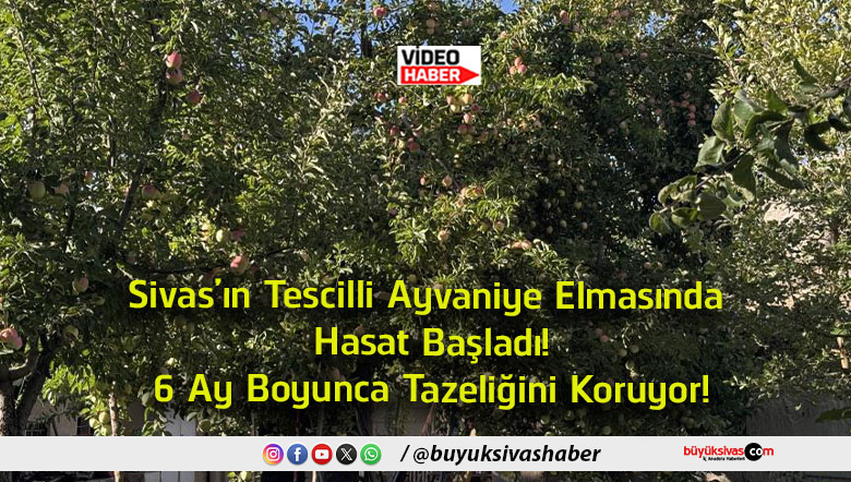 koruyor