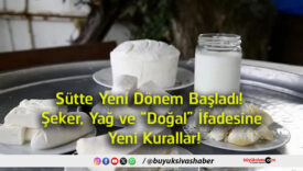 kurallar
