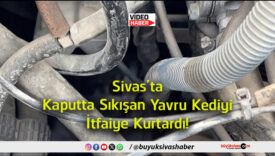 kurtardı