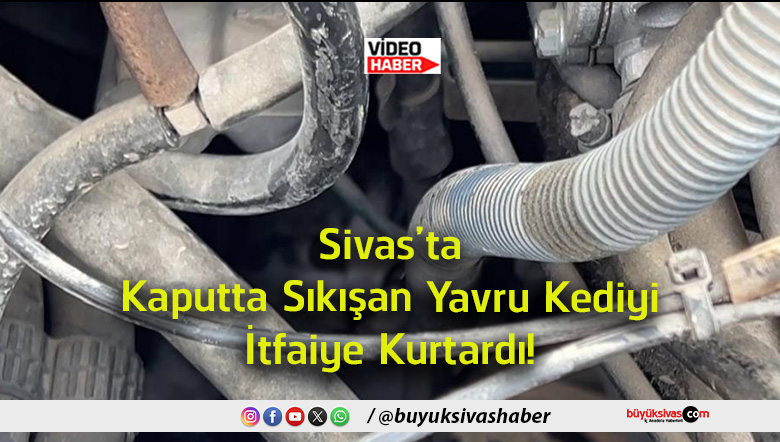 kurtardı