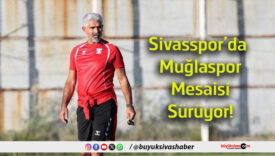 mesaisi