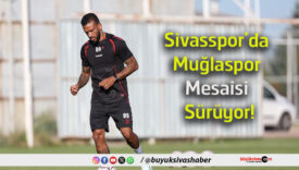 mesaisi