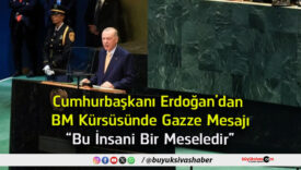 mesele