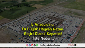 neden
