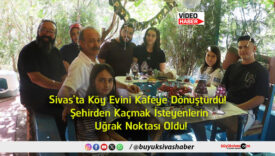 noktası