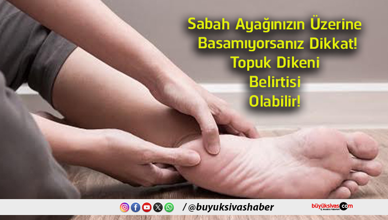 olabilir