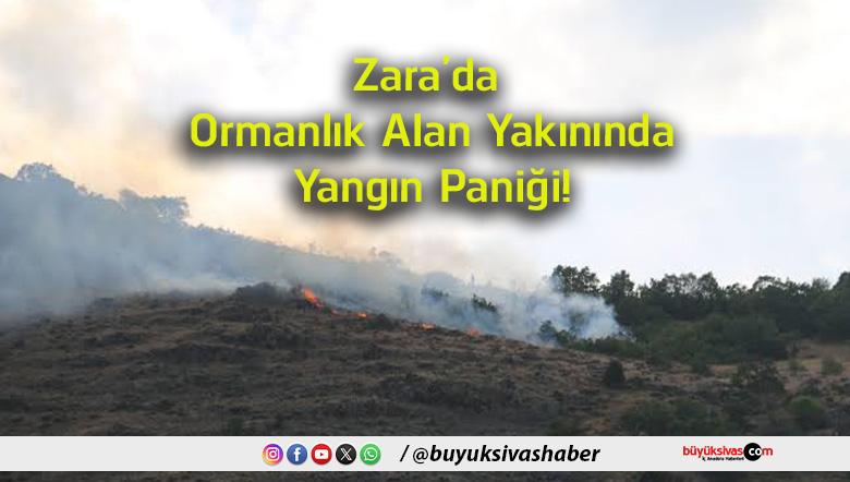 paniği