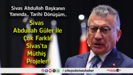 proje