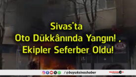 seferber