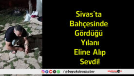 sevdi