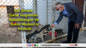 şimşek