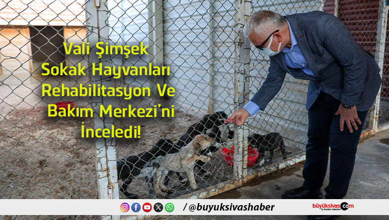 şimşek