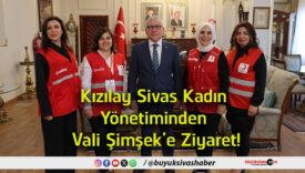 şimşek'e