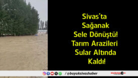 sular