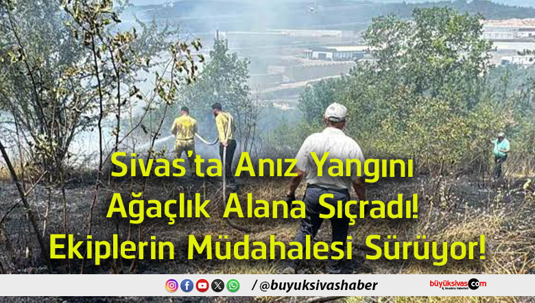 sürüyor
