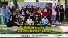 teknikleri