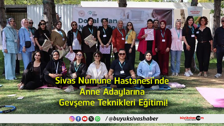 teknikleri