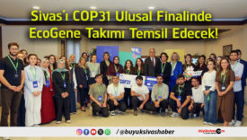 temsil