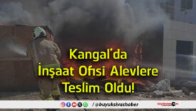 teslim