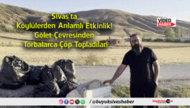 topladılar