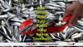 tüketilmeli