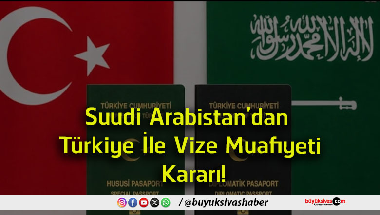 vize