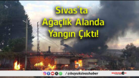 yangın