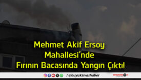 yangın
