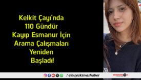 yeniden
