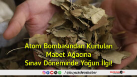 yoğun