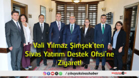 ziyaret