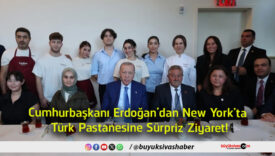 ziyaret