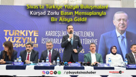 zorlu