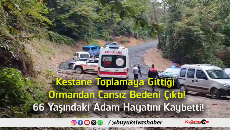 66 yaşındaki