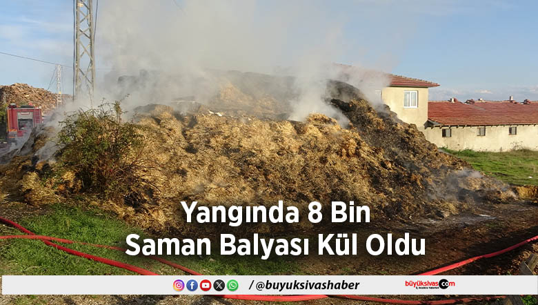 8 Bin Saman Balyası