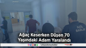 Ağaç Keserken Düşen