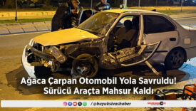 Ağaca Çarpan Otomobil
