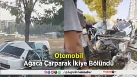 Ağaca Çarparak İkiye Bölündü