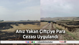 Anız Yakan Çiftçiye Para Cezası Uygulandı