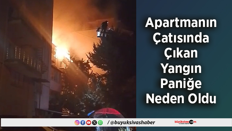 Apartmanın Çatısında