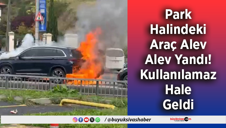 Araç Alev Alev Yandı