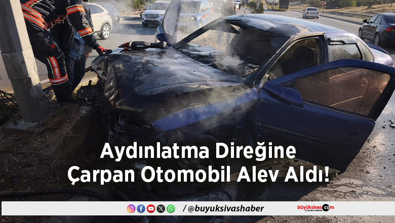 Aydınlatma Direğine Çarpan