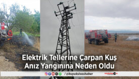 Elektrik Tellerine Çarpan