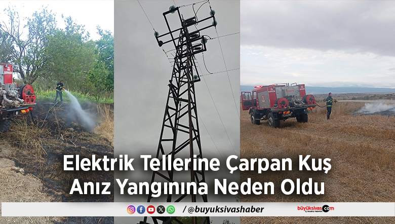 Elektrik Tellerine Çarpan