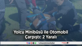 Minibüsü ile Otomobil