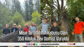 Mısır Tarlalarının Kabusu Olan