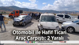 Otomobil ile Hafif Ticari